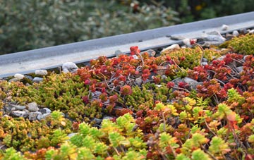 the cost of West Winterslow green roof installation