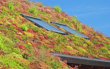 West Winterslow living roof systems