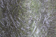 West Winterslow fibreglass roof work